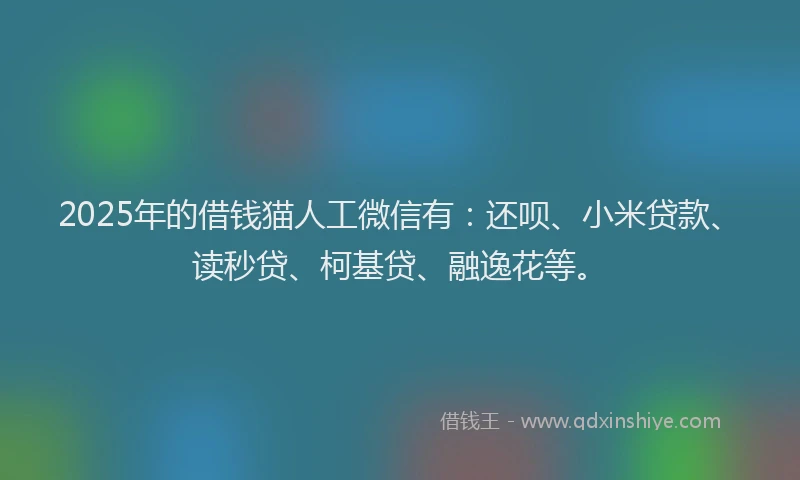 2025年的借钱猫人工微信有：还呗、小米贷款、读秒贷、柯基贷、融逸花等。
