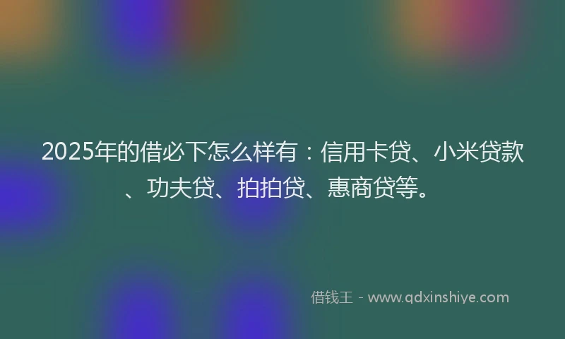 2025年的借必下怎么样有：信用卡贷、小米贷款、功夫贷、拍拍贷、惠商贷等。
