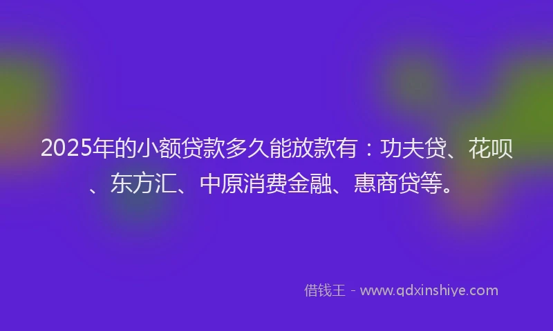 2025年的小额贷款多久能放款有：功夫贷、花呗、东方汇、中原消费金融、惠商贷等。
