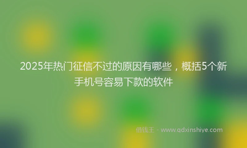 2025年热门征信不过的原因有哪些，概括5个新手机号容易下款的软件