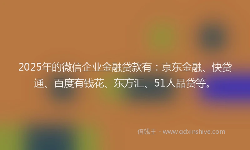 2025年的微信企业金融贷款有：京东金融、快贷通、百度有钱花、东方汇、51人品贷等。