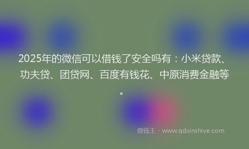2025年的微信可以借钱了安全吗有：小米贷款、功夫贷、团贷网、百度有钱花、中原消费金融等。
