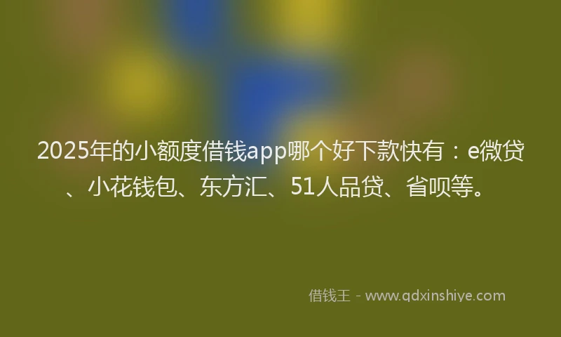 2025年的小额度借钱app哪个好下款快有：e微贷、小花钱包、东方汇、51人品贷、省呗等。
