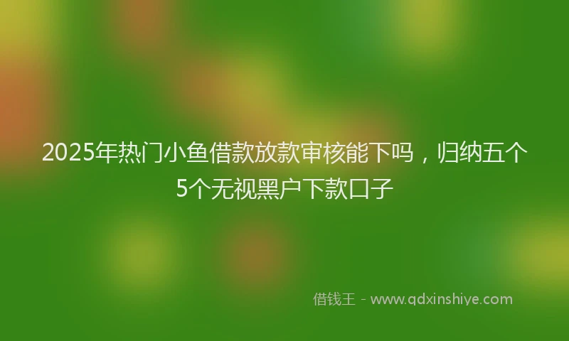 2025年热门小鱼借款放款审核能下吗，归纳五个5个无视黑户下款口子