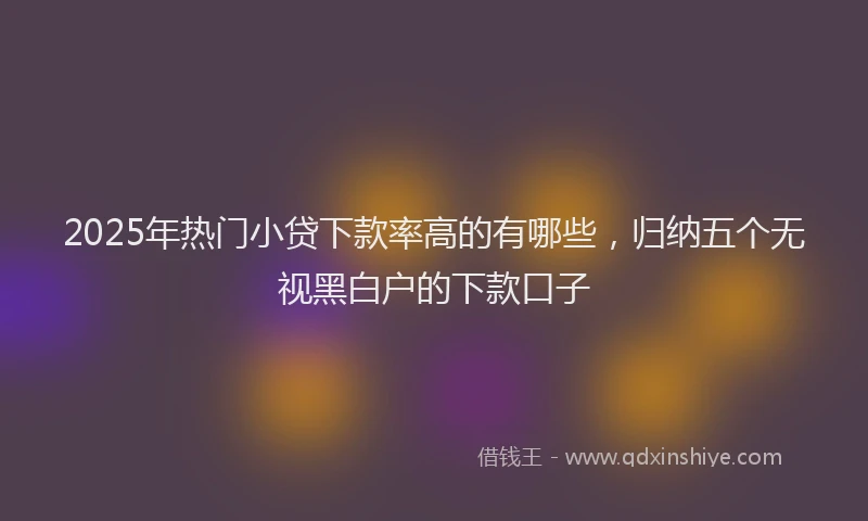 2025年热门小贷下款率高的有哪些，归纳五个无视黑白户的下款口子