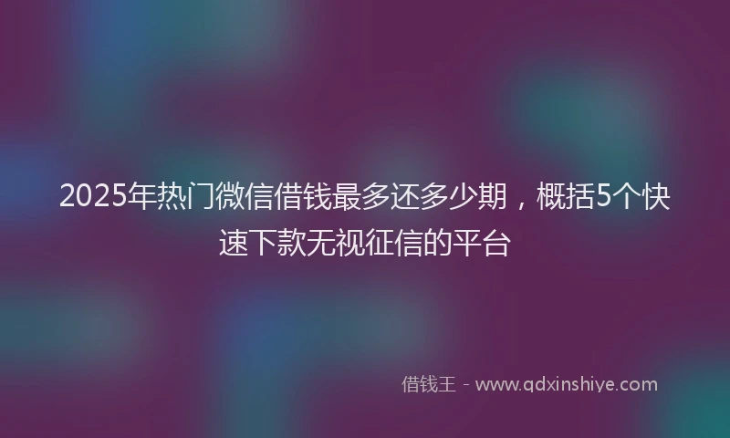 2025年热门微信借钱最多还多少期，概括5个快速下款无视征信的平台