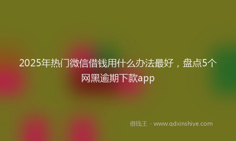 2025年热门微信借钱用什么办法最好，盘点5个网黑逾期下款app