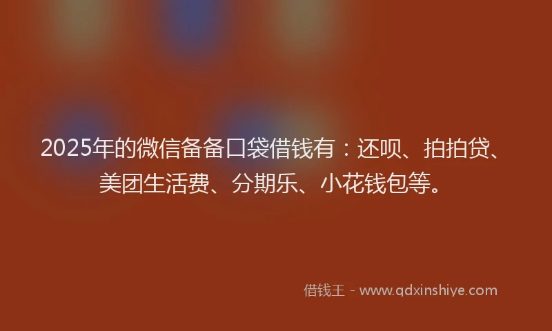 2025年的微信备备口袋借钱有：还呗、拍拍贷、美团生活费、分期乐、小花钱包等。