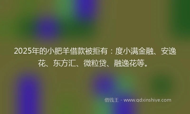2025年的小肥羊借款被拒有：度小满金融、安逸花、东方汇、微粒贷、融逸花等。