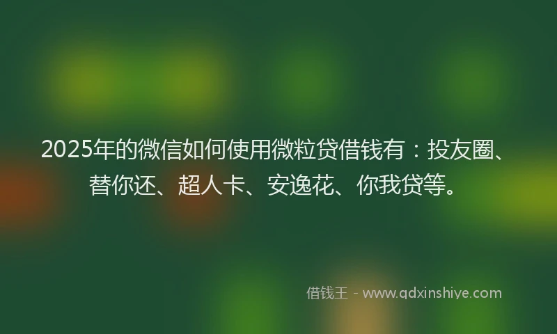 2025年的微信如何使用微粒贷借钱有：投友圈、替你还、超人卡、安逸花、你我贷等。