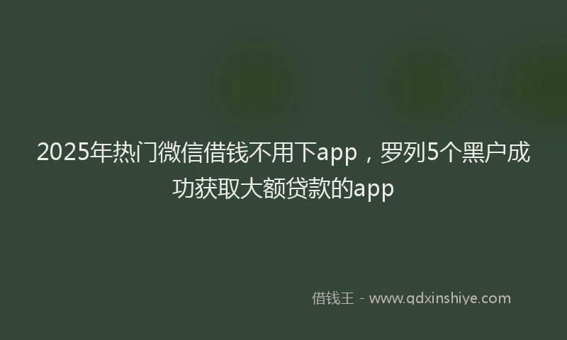 2025年热门微信借钱不用下app，罗列5个黑户成功获取大额贷款的app