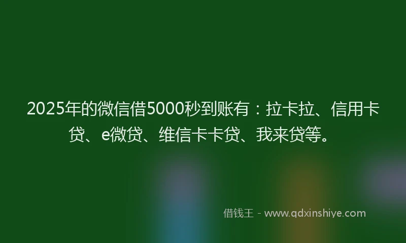 2025年的微信借5000秒到账有：拉卡拉、信用卡贷、e微贷、维信卡卡贷、我来贷等。