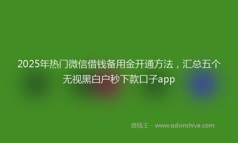 2025年热门微信借钱备用金开通方法，汇总五个无视黑白户秒下款口子app