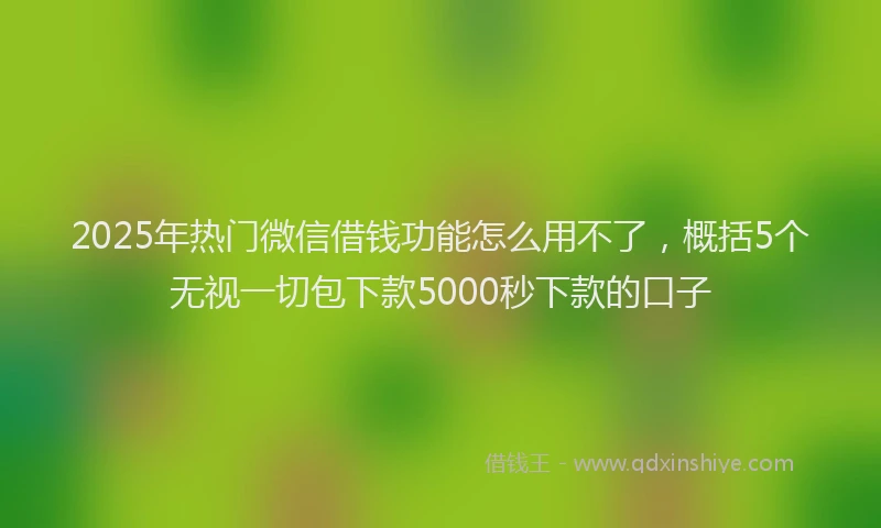 2025年热门微信借钱功能怎么用不了，概括5个无视一切包下款5000秒下款的口子