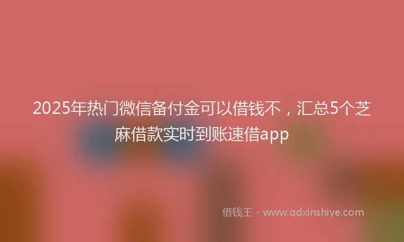 2025年热门微信备付金可以借钱不，汇总5个芝麻借款实时到账速借app
