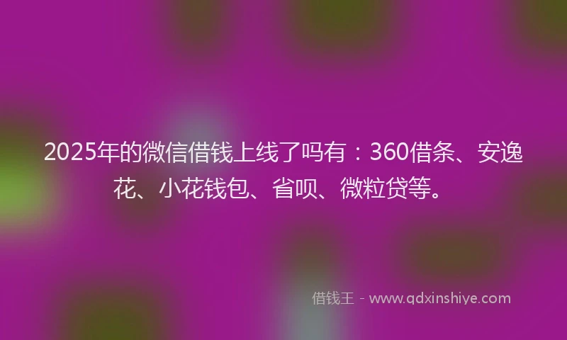 2025年的微信借钱上线了吗有：360借条、安逸花、小花钱包、省呗、微粒贷等。