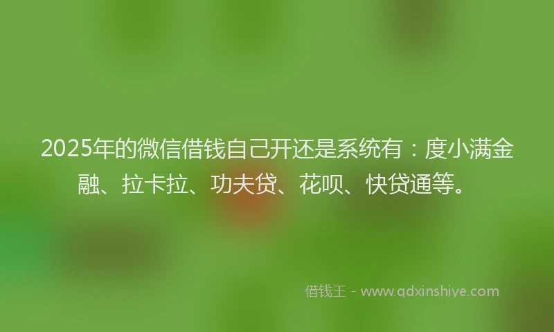 2025年的微信借钱自己开还是系统有：度小满金融、拉卡拉、功夫贷、花呗、快贷通等。