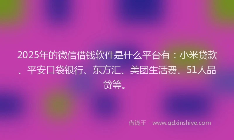 2025年的微信借钱软件是什么平台有：小米贷款、平安口袋银行、东方汇、美团生活费、51人品贷等。