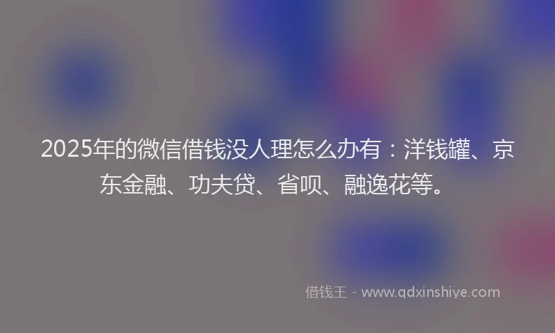 2025年的微信借钱没人理怎么办有：洋钱罐、京东金融、功夫贷、省呗、融逸花等。