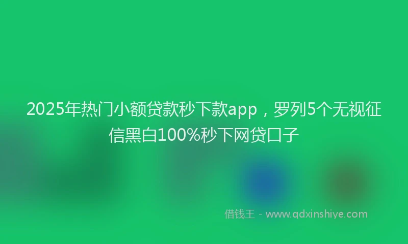 2025年热门小额贷款秒下款app，罗列5个无视征信黑白100%秒下网贷口子