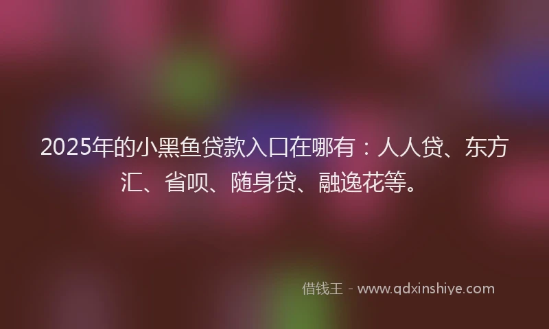 2025年的小黑鱼贷款入口在哪有：人人贷、东方汇、省呗、随身贷、融逸花等。