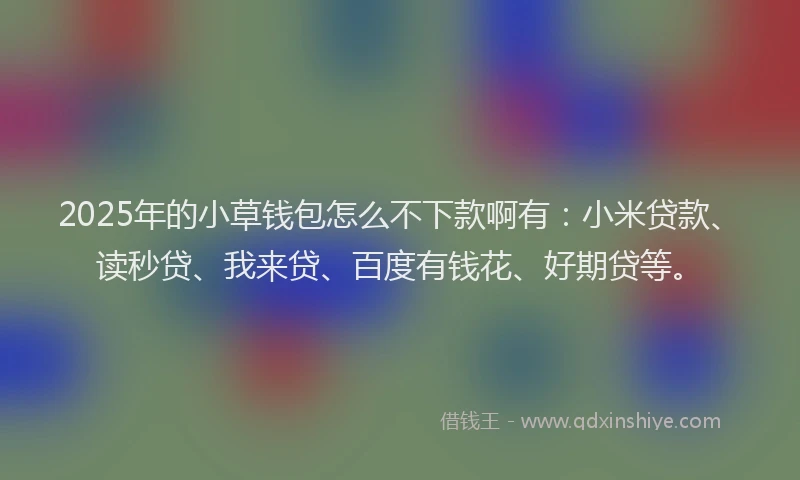 2025年的小草钱包怎么不下款啊有：小米贷款、读秒贷、我来贷、百度有钱花、好期贷等。