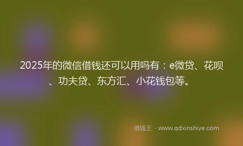 2025年的微信借钱还可以用吗有：e微贷、花呗、功夫贷、东方汇、小花钱包等。