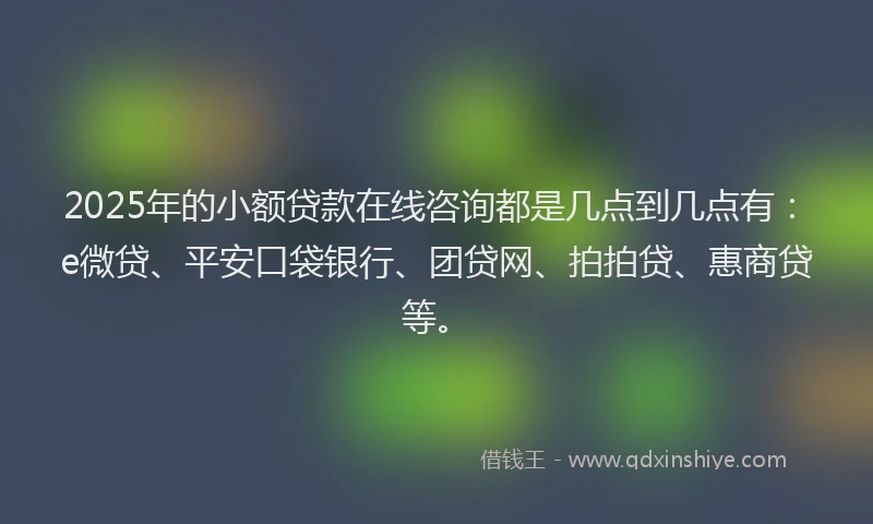 2025年的小额贷款在线咨询都是几点到几点有：e微贷、平安口袋银行、团贷网、拍拍贷、惠商贷等。