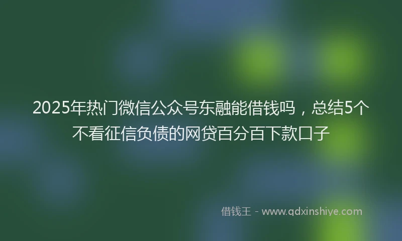 2025年热门微信公众号东融能借钱吗，总结5个不看征信负债的网贷百分百下款口子