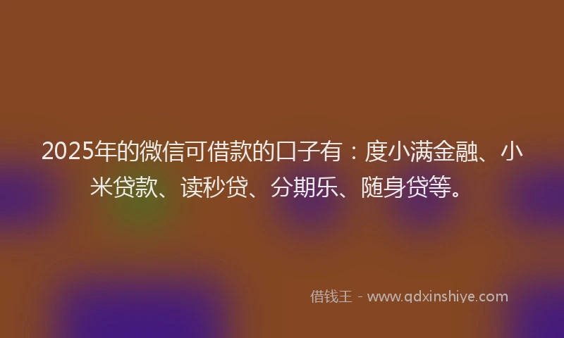 2025年的微信可借款的口子有：度小满金融、小米贷款、读秒贷、分期乐、随身贷等。
