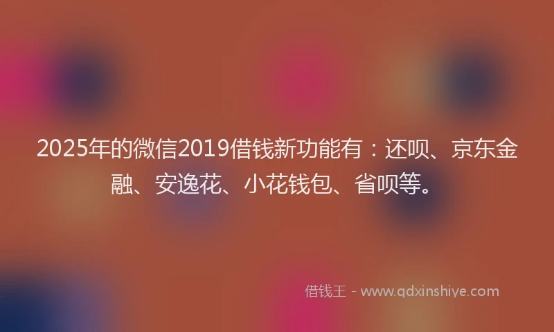 2025年的微信2019借钱新功能有：还呗、京东金融、安逸花、小花钱包、省呗等。