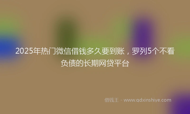2025年热门微信借钱多久要到账，罗列5个不看负债的长期网贷平台