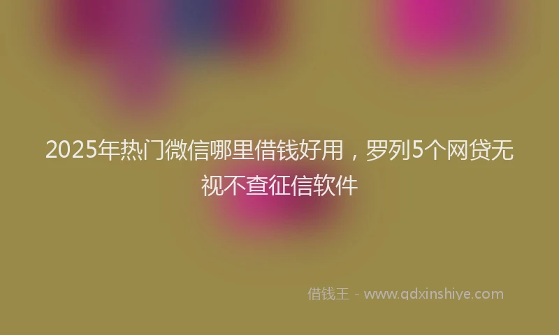 2025年热门微信哪里借钱好用，罗列5个网贷无视不查征信软件