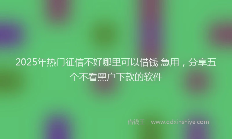 2025年热门征信不好哪里可以借钱 急用，分享五个不看黑户下款的软件