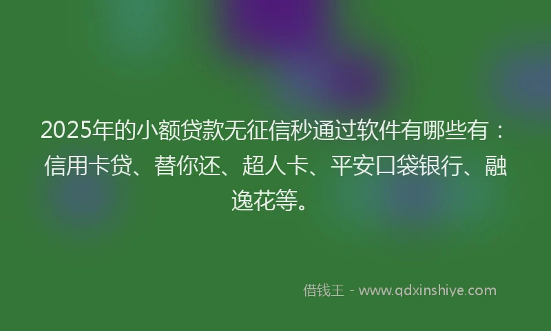 2025年的小额贷款无征信秒通过软件有哪些有：信用卡贷、替你还、超人卡、平安口袋银行、融逸花等。