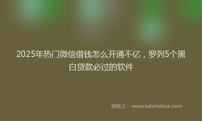 2025年热门微信借钱怎么开通不亿，罗列5个黑白贷款必过的软件