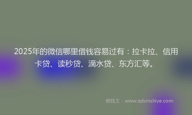 2025年的微信哪里借钱容易过有：拉卡拉、信用卡贷、读秒贷、滴水贷、东方汇等。