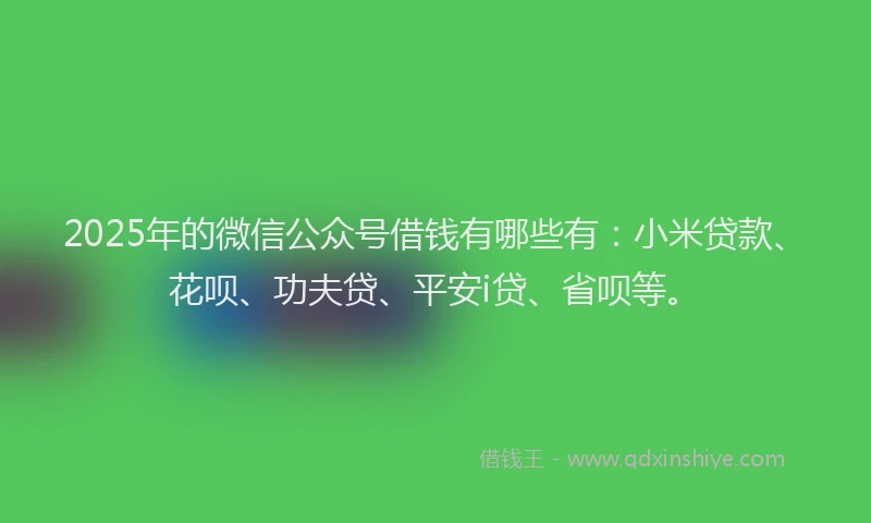 2025年的微信公众号借钱有哪些有：小米贷款、花呗、功夫贷、平安i贷、省呗等。