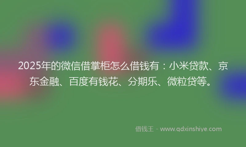 2025年的微信借掌柜怎么借钱有：小米贷款、京东金融、百度有钱花、分期乐、微粒贷等。