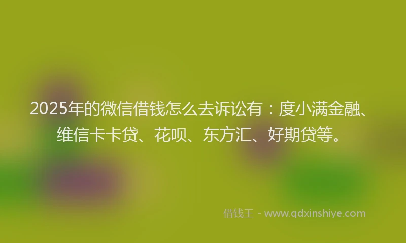 2025年的微信借钱怎么去诉讼有：度小满金融、维信卡卡贷、花呗、东方汇、好期贷等。
