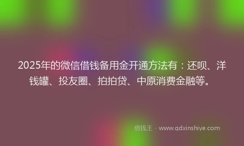 2025年的微信借钱备用金开通方法有：还呗、洋钱罐、投友圈、拍拍贷、中原消费金融等。