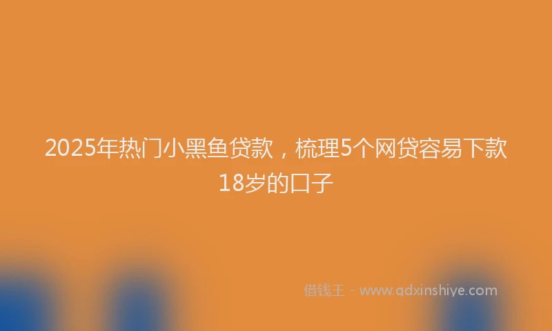 2025年热门小黑鱼贷款，梳理5个网贷容易下款18岁的口子