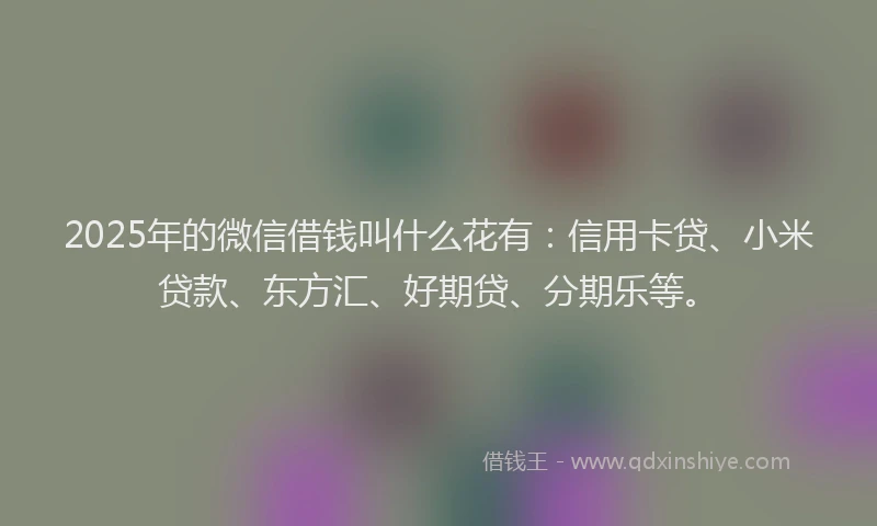 2025年的微信借钱叫什么花有：信用卡贷、小米贷款、东方汇、好期贷、分期乐等。