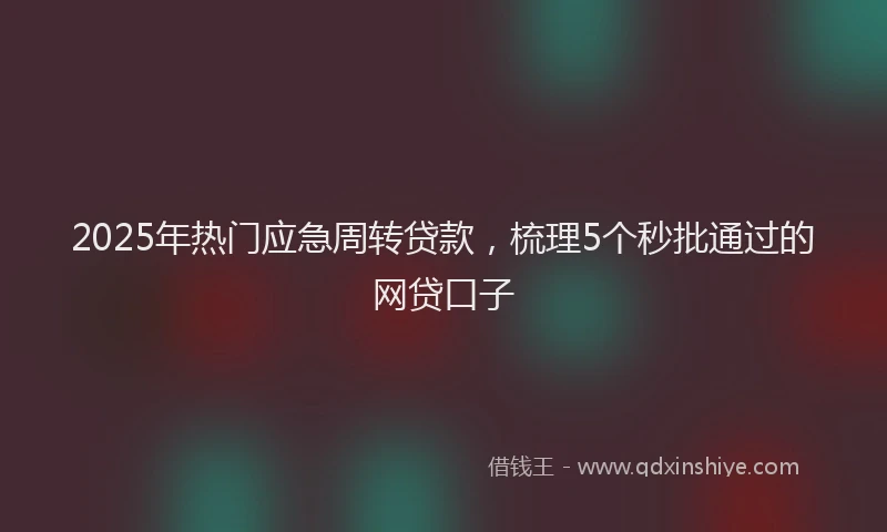 2025年热门应急周转贷款，梳理5个秒批通过的网贷口子