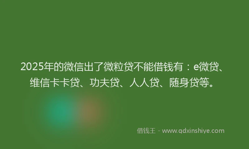 2025年的微信出了微粒贷不能借钱有：e微贷、维信卡卡贷、功夫贷、人人贷、随身贷等。