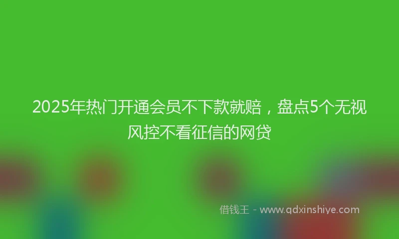 2025年热门开通会员不下款就赔，盘点5个无视风控不看征信的网贷