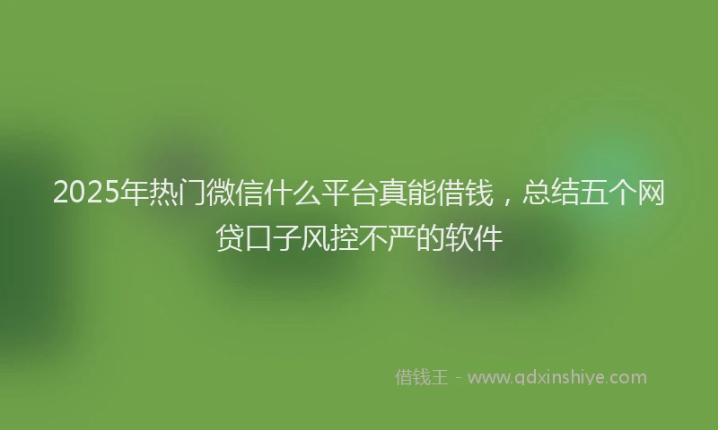 2025年热门微信什么平台真能借钱，总结五个网贷口子风控不严的软件