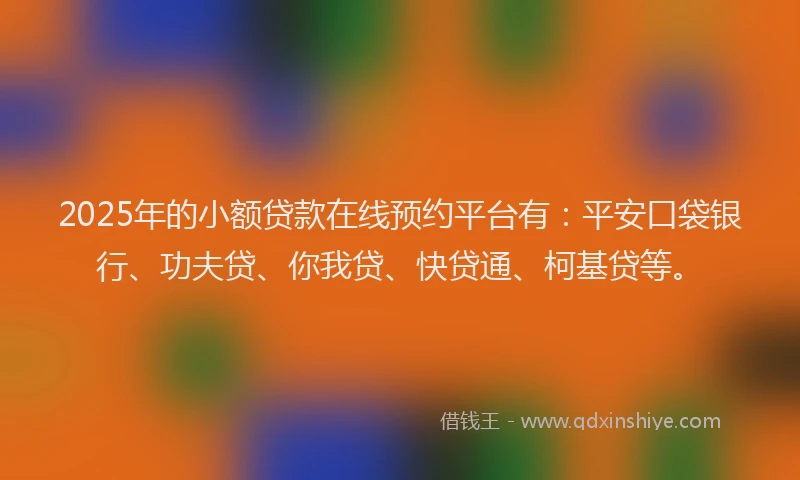 2025年的小额贷款在线预约平台有：平安口袋银行、功夫贷、你我贷、快贷通、柯基贷等。