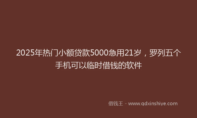 2025年热门小额贷款5000急用21岁，罗列五个手机可以临时借钱的软件