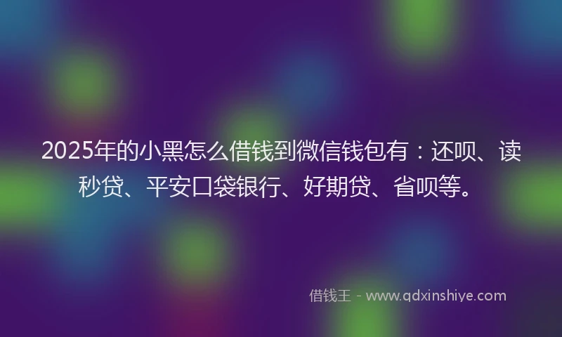 2025年的小黑怎么借钱到微信钱包有：还呗、读秒贷、平安口袋银行、好期贷、省呗等。